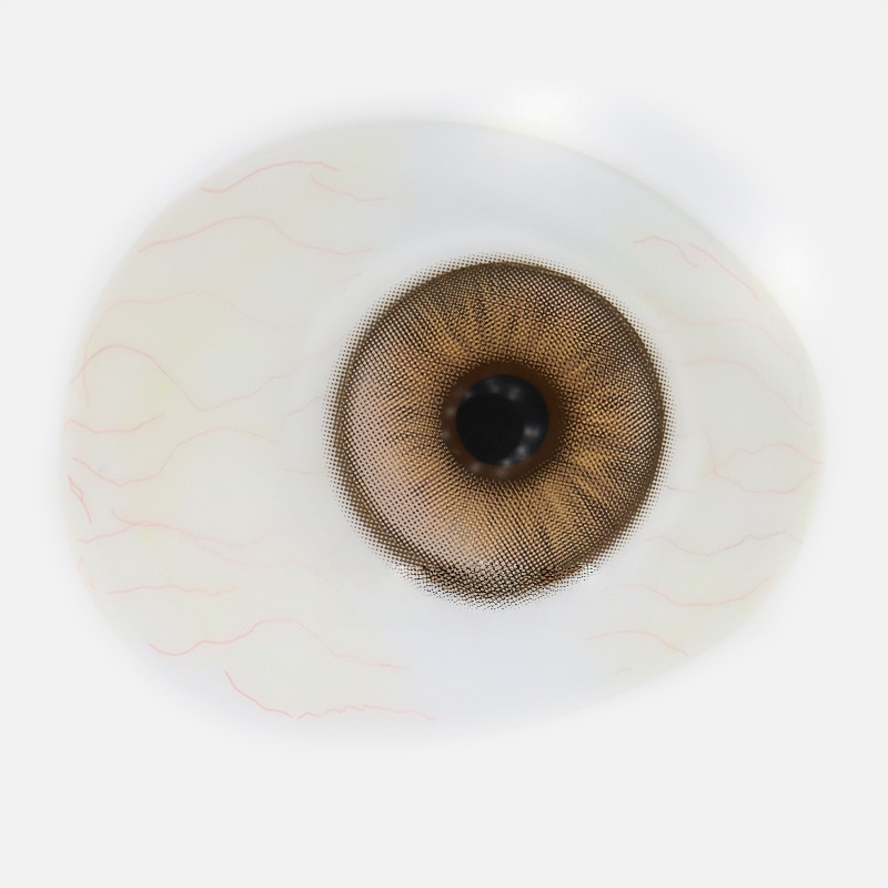 Uniieye Secret Brown Colored Contact Lenses | 1 Year